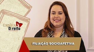 Explica Direito Filiação Socioafetiva  2019 [upl. by Maddis]